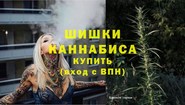 PSILOCYBIN Балахна