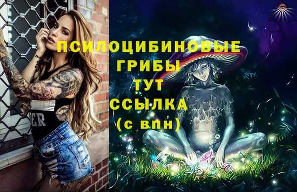 скорость Аркадак