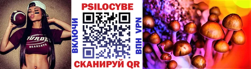Псилоцибиновые грибы Cubensis  где купить наркоту  Катав-Ивановск 